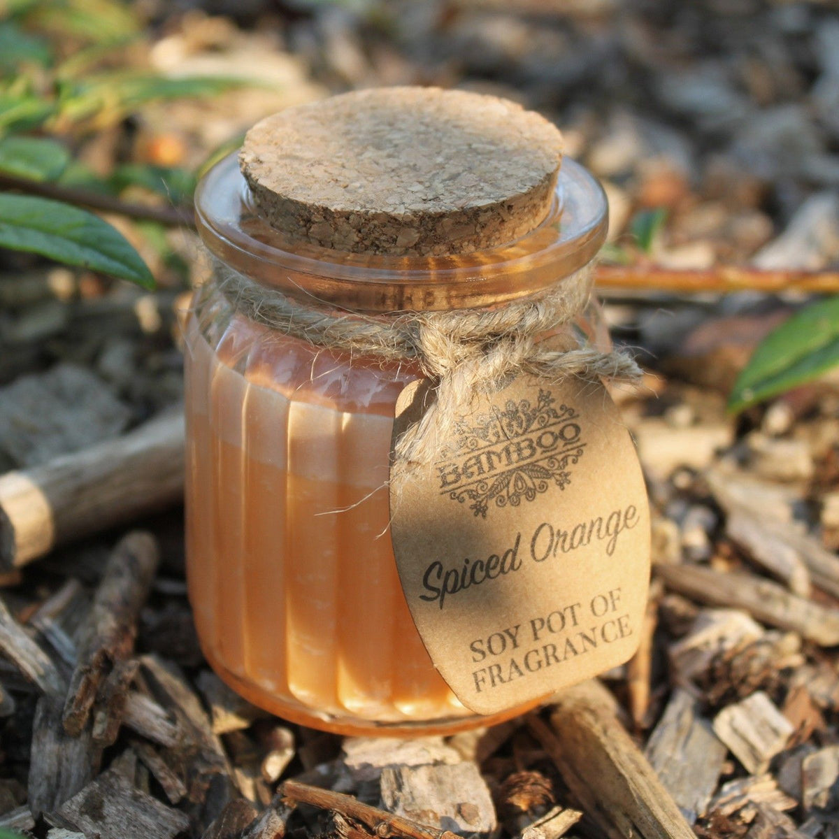 Spiced Orange Soy Pot of Fragrance Candles - product view 3