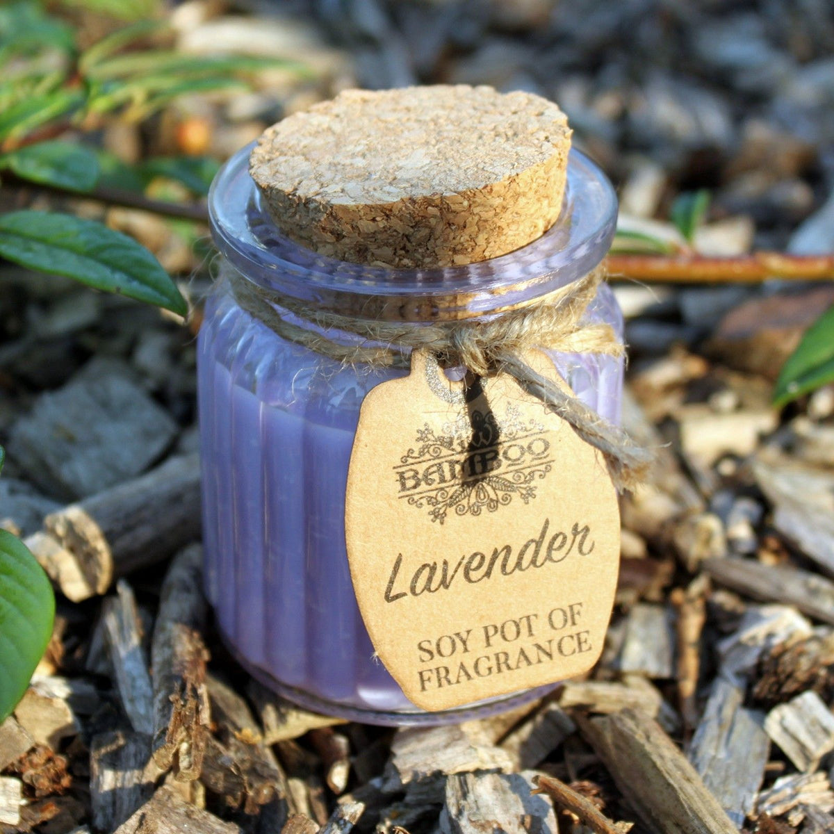 Lavender Soy Pot of Fragrance Candles - product view 5