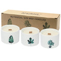 Set of three botanical soy wax candles in white ceramic holders with leaf prints