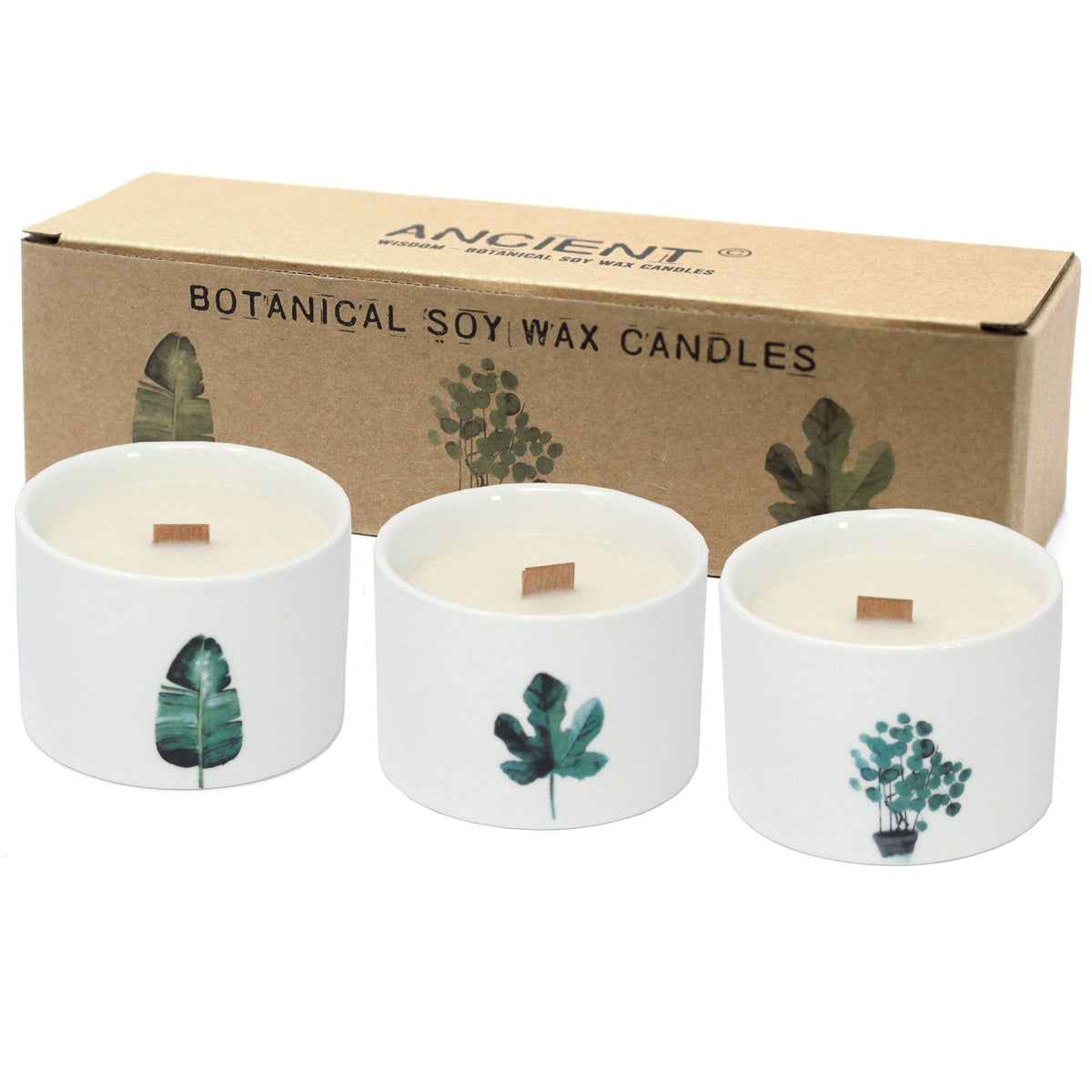 Set of three botanical soy wax candles in white jars with green plant prints