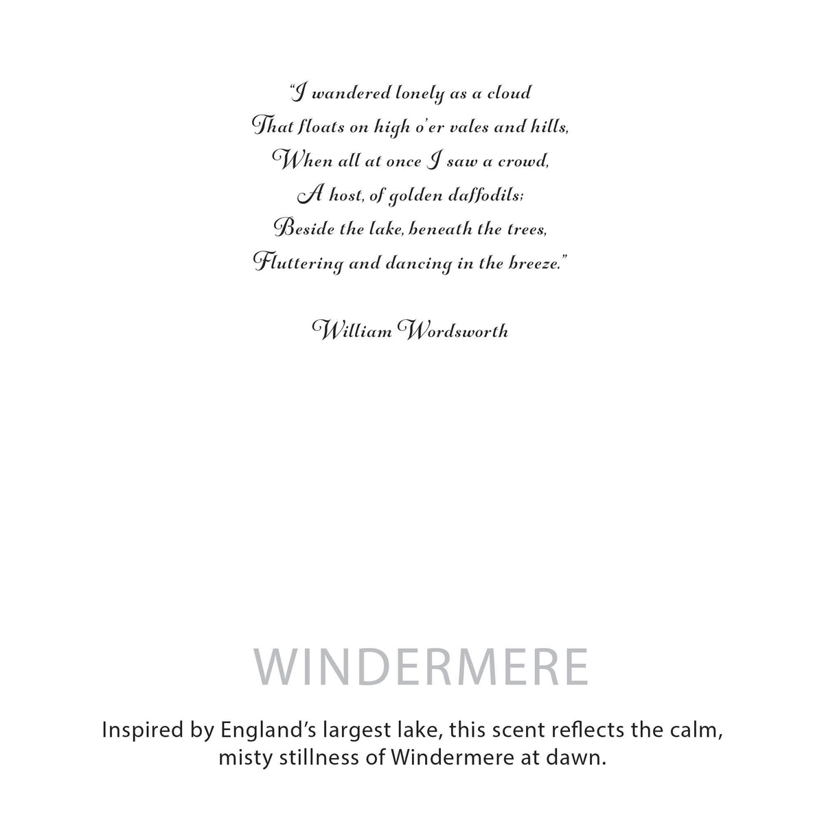 Agnes + Cat Botanical Soy Wax Candle - Windermere - product view 6