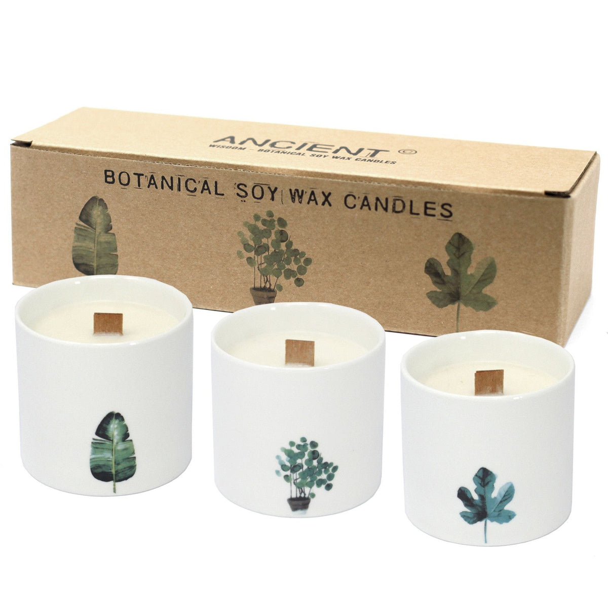 Large boxed set of botanical soy wax candles with three white jars and labels