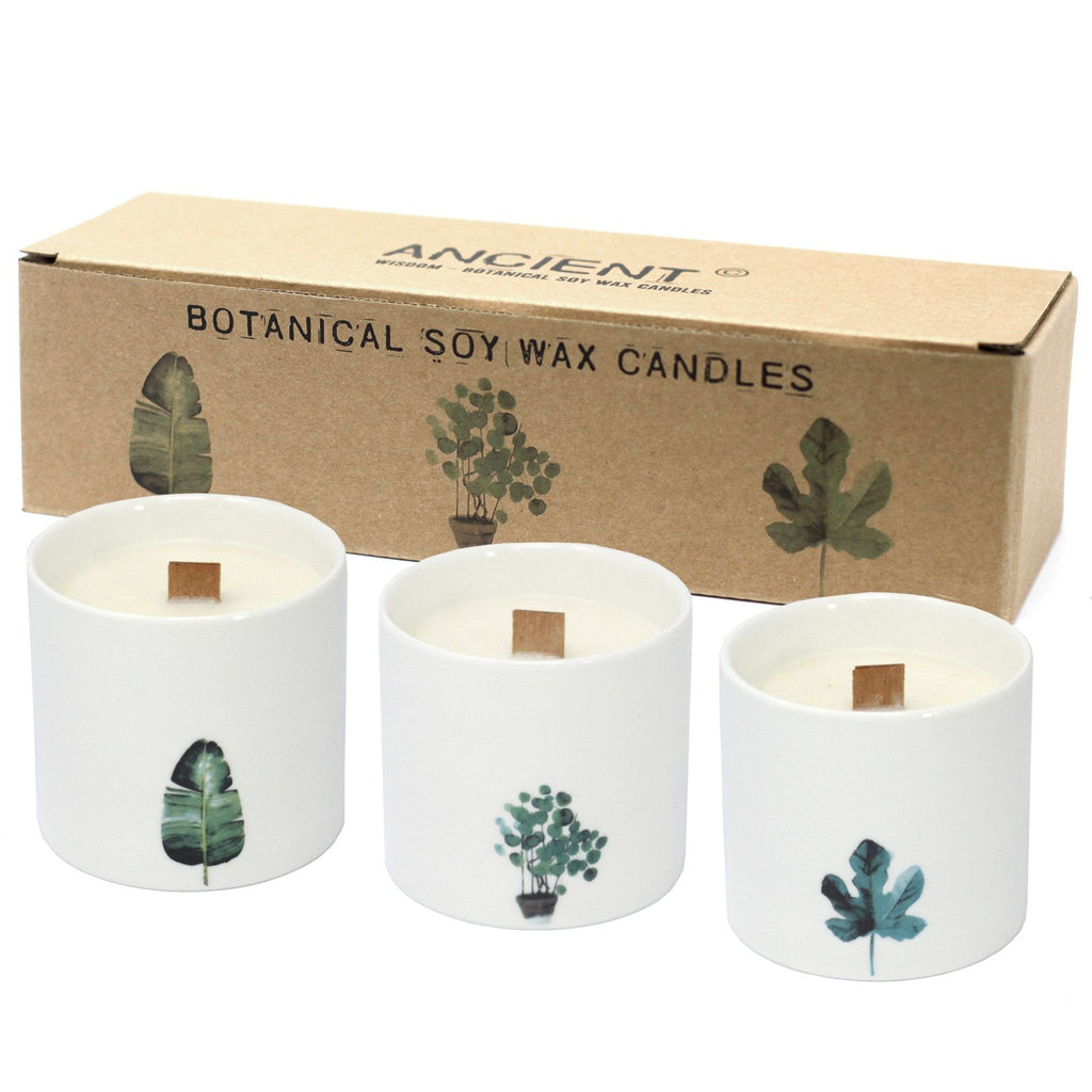 Set of three white botanical soy candles with botanical prints, in kraft gift box