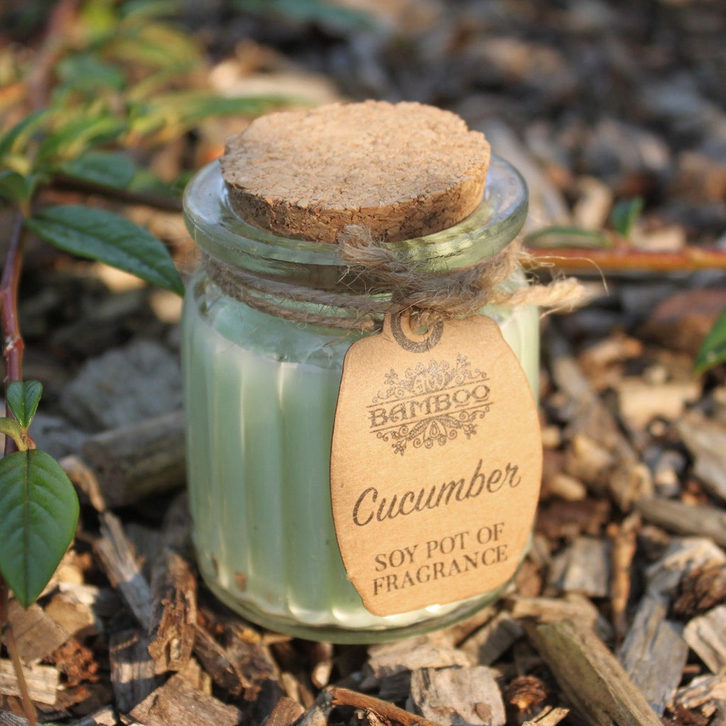 Cucumber Soy Pot of Fragrance Candles - product view 3