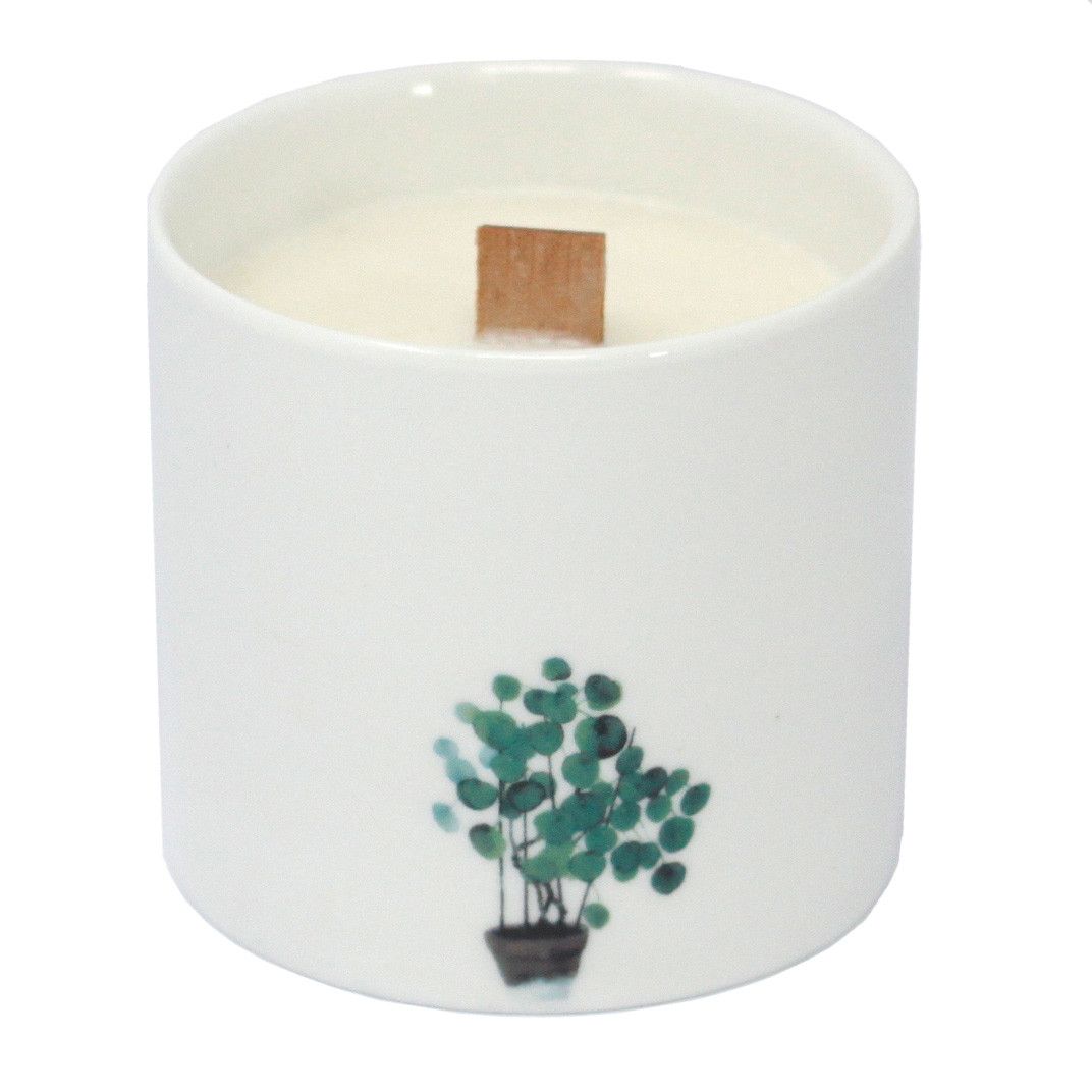 Large white botanical soy candle with potted eucalyptus plant print and tan wick tab