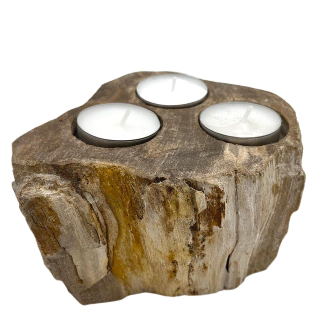 Petrified Wood Candle Holder - Triple - product view 2