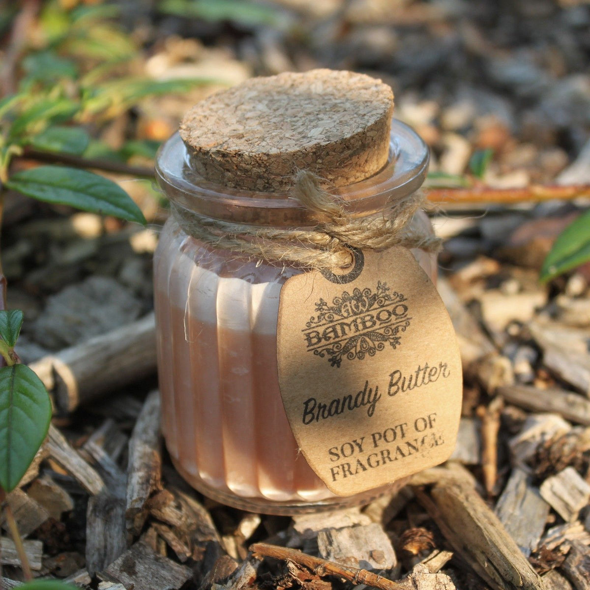Brandy Butter Soy Pot of Fragrance Candles - product view 5