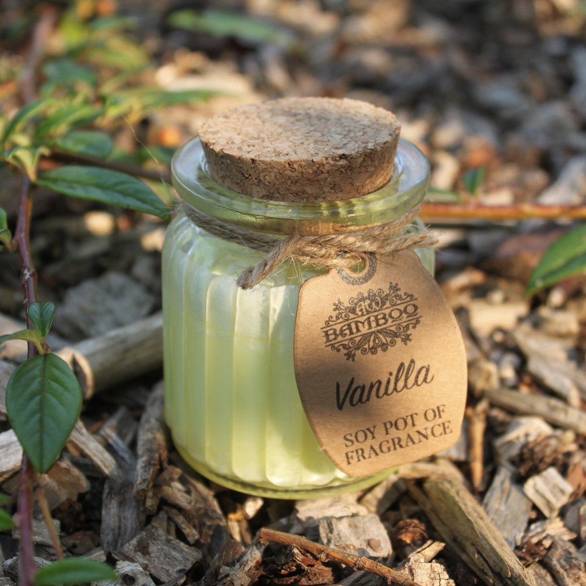 Vanilla Soy Pot of Fragrance Candles - product view 2