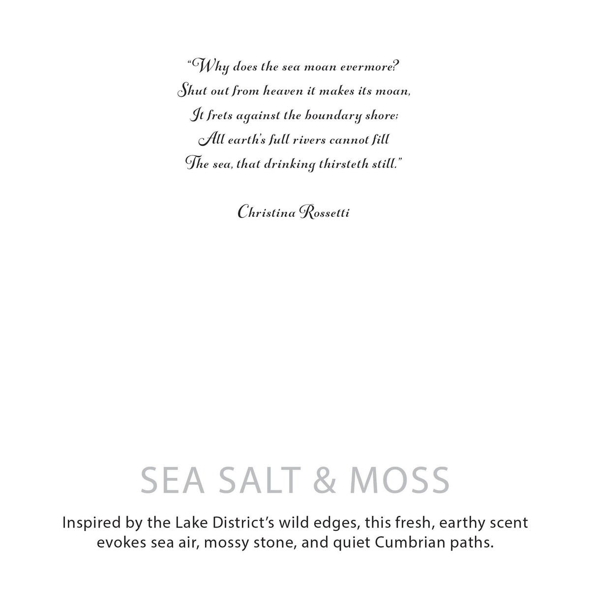 Agnes + Cat Botanical Soy Wax Candle - Seasalt & Moss - product view 9