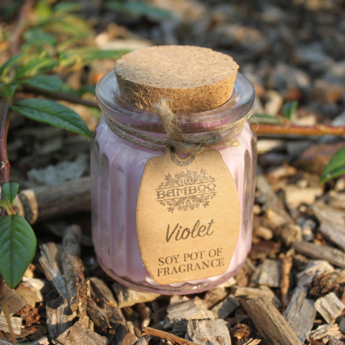 Violet Soy Pot of Fragrance Candles - product view 3