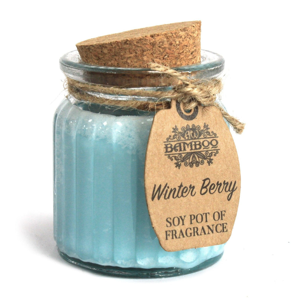 Winter Berry Soy Pot of Fragrance Candles - product view 3