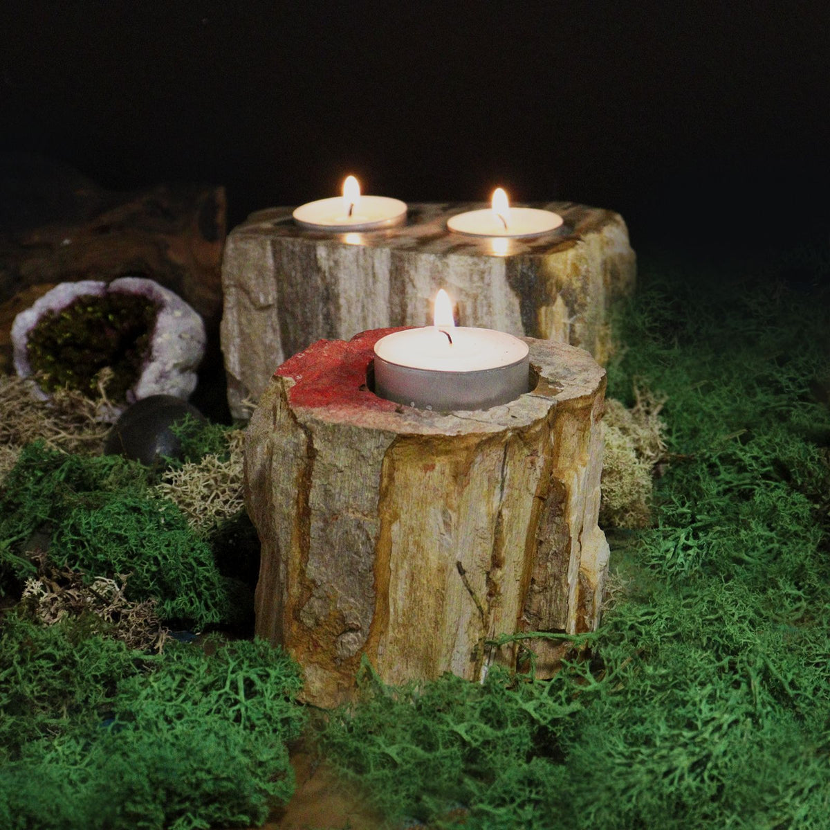 Petrified Wood Candle Holder - Single Tall - product view 5