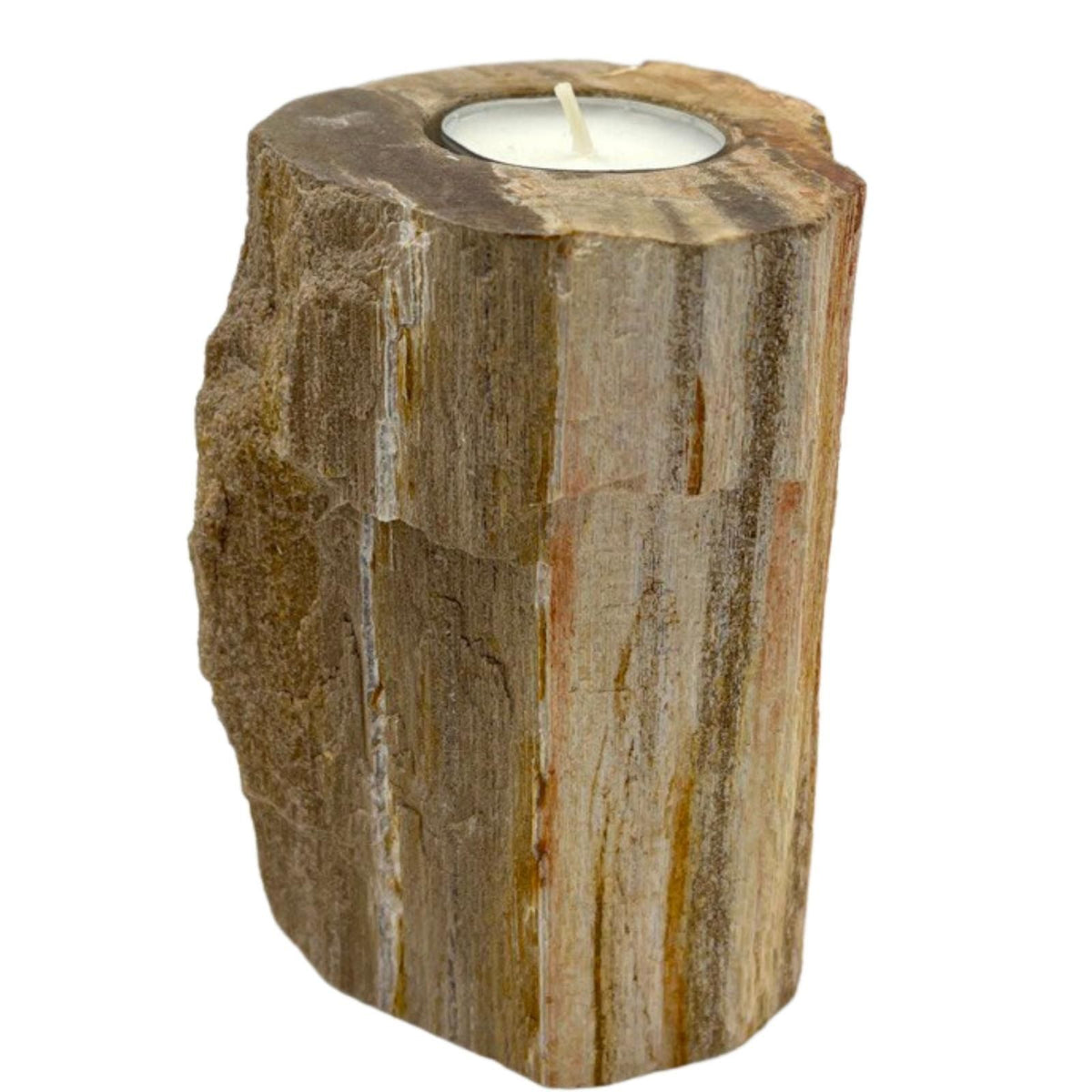 Petrified Wood Candle Holder - Single Tall - product view 4