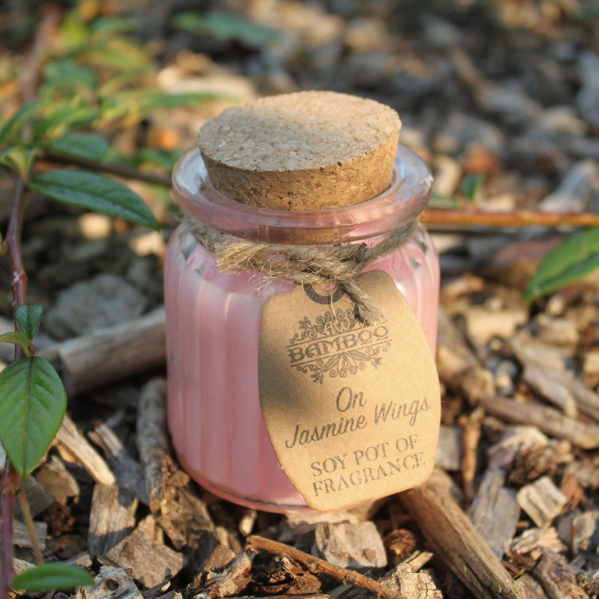 On Jasmine Wings Soy Pot of Fragrance Candles - product view 3