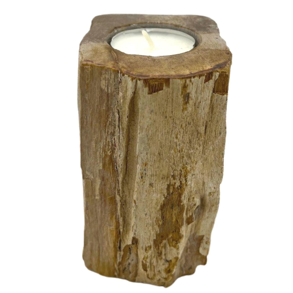 Petrified Wood Candle Holder - Single Tall - product view 2