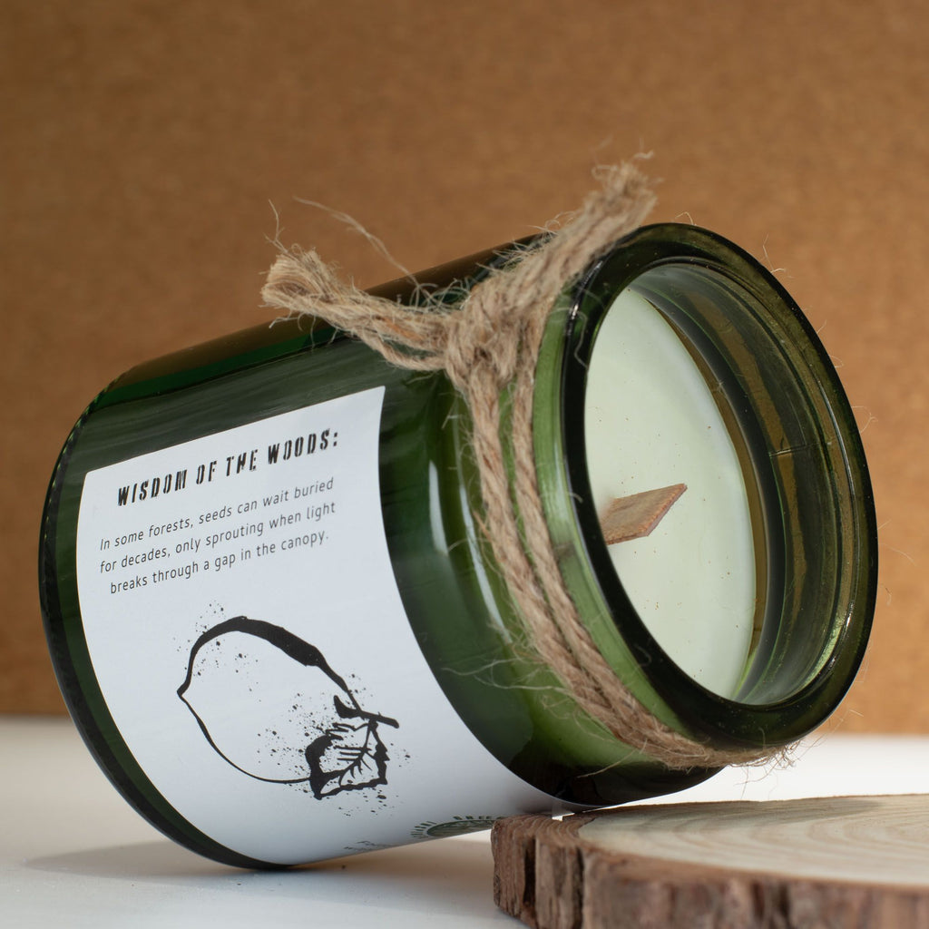 Greenman Woodwick Soy Candle - Cedar Citrus - product view 6