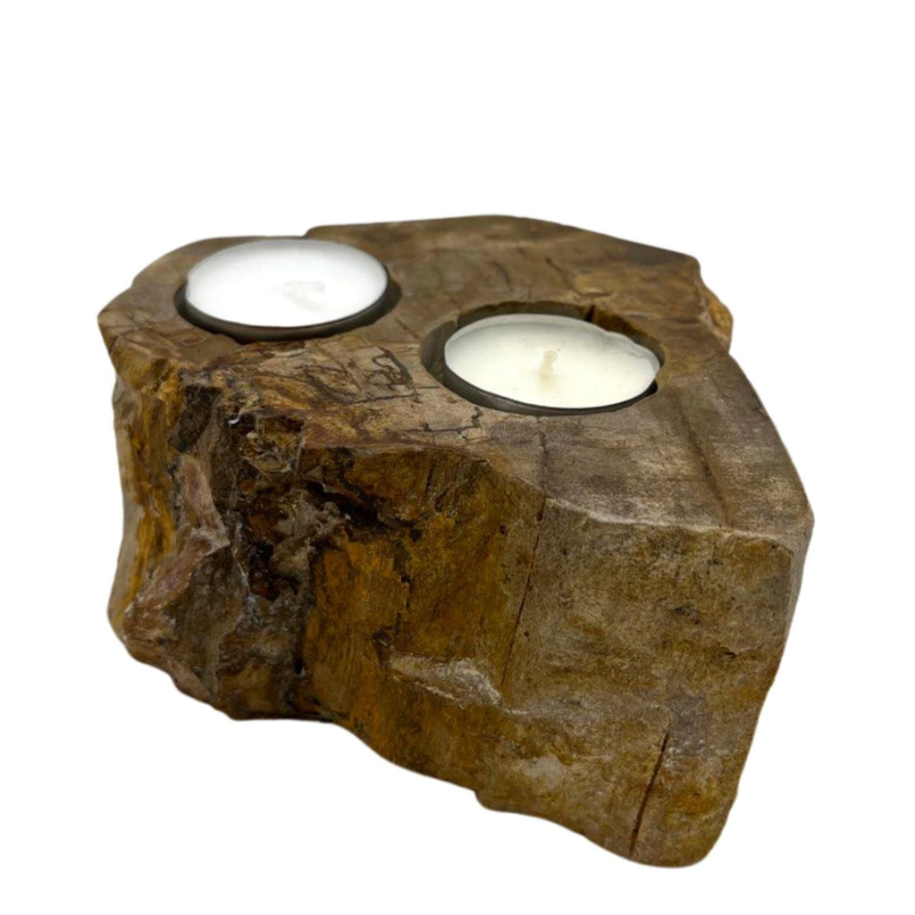 Petrified Wood Candle Holder - Double - product view 5