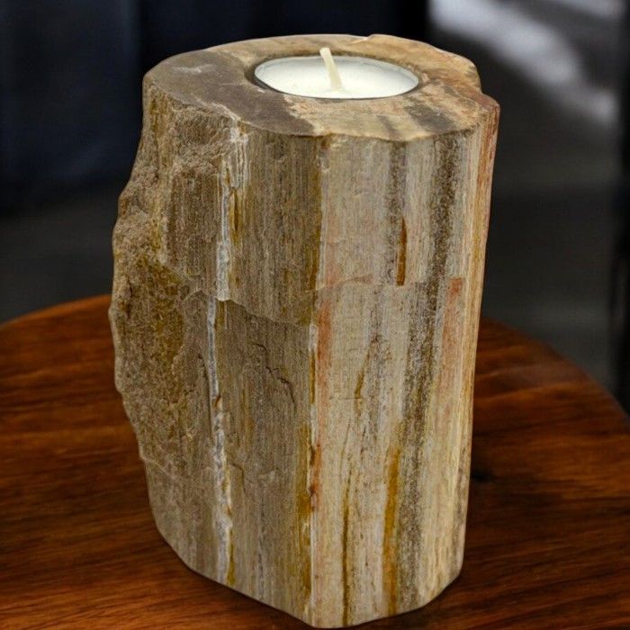 Petrified Wood Candle Holder - Single Tall - product view 3