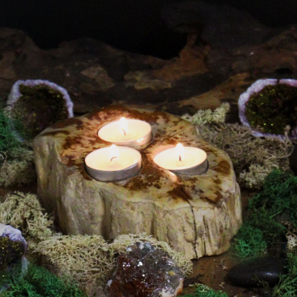 Petrified Wood Candle Holder - Triple - product view 4